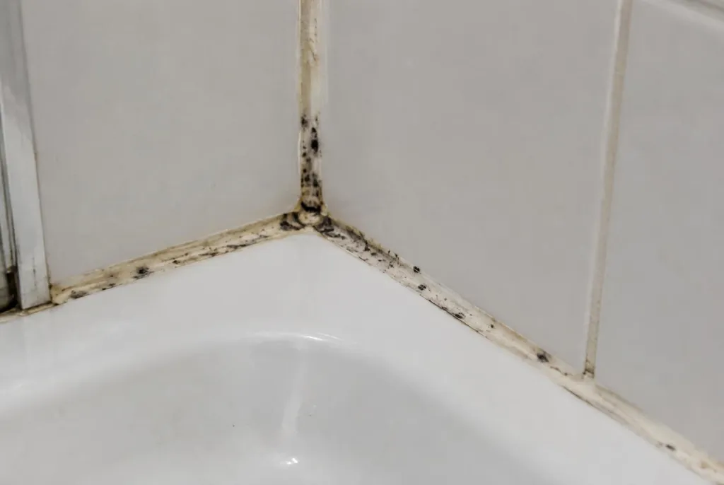 Kitbedrijf Zutphen – beschimmelde kitranden